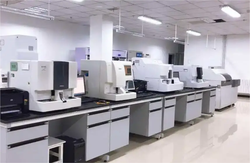 龙8头号玩家-中国官方网站